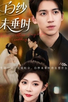 老婆婚礼我当证婚人