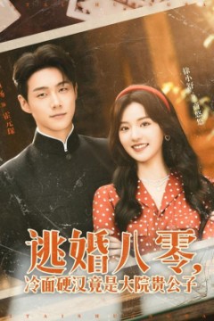 逃婚八零冷面硬汉竟是大院贵公子