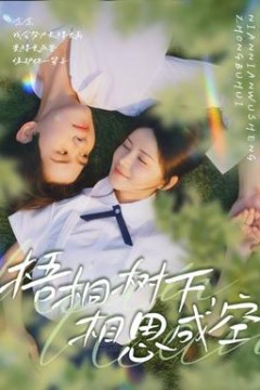 梧桐树下，相思成空