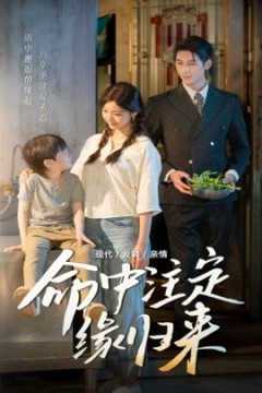 命中注定缘归来