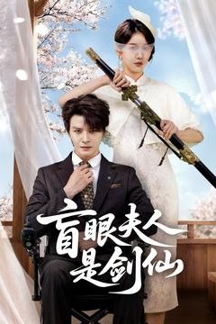 盲眼夫人是剑仙