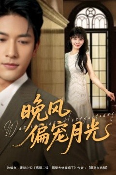 晚风偏宠月光