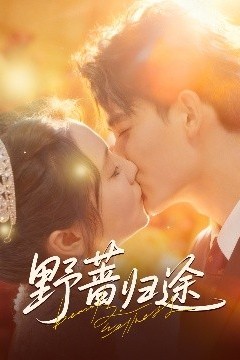 野蔷归途