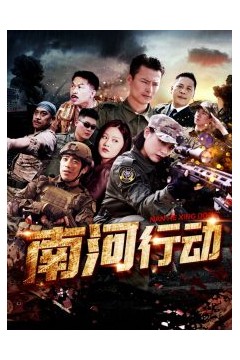 南河行动