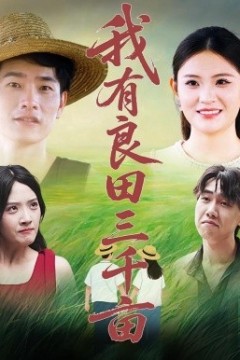 我有良田三千亩