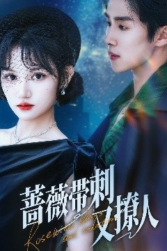 蔷薇带刺又撩人