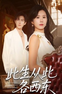 此生从此各西东