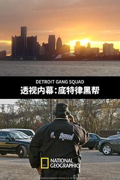 透视内幕：底特律黑帮