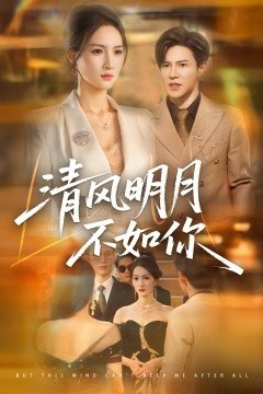 清风明月不如你