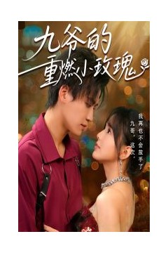 九爷的重燃小玫瑰