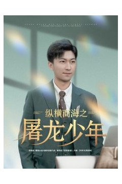 纵横商海之屠龙少年