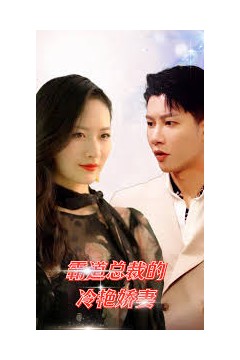 霸道总裁的冷艳娇妻