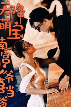 天降萌宝南宫少爷喜当爹