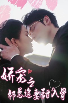 娇宠之祁总追妻甜入骨