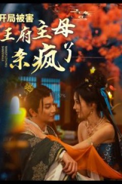 开局被害王府主母杀疯了