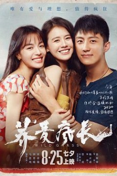 和荞麦一起疯长的日子下集