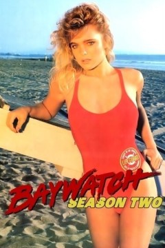 海滩救护队第十季