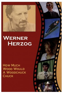 一只土拨鼠能啃掉多少木头