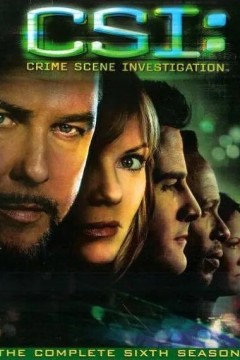 犯罪现场调查第六季