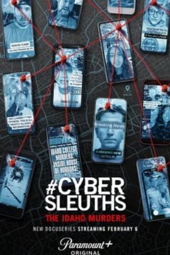 网络侦探：爱达荷州谋杀案2024