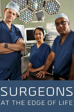 外科医生：生命边缘第四季