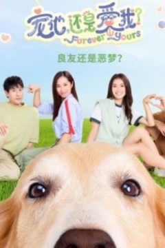 宠他，还是爱我？