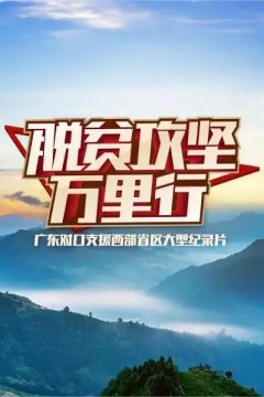 脱贫攻坚万里行