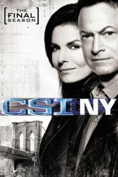 犯罪现场调查：纽约第九季