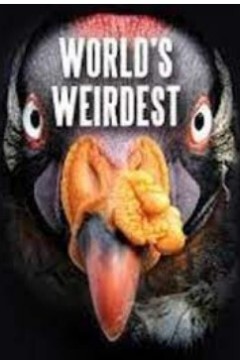 奇形怪物第一季