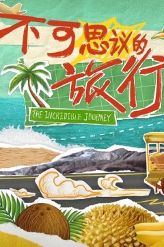不可思议的旅行