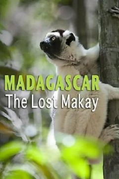 马达加斯加：世界冒险家