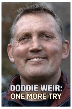 多迪·威尔：再试一次