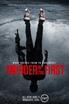 谜案追凶第二季