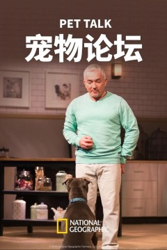 宠物论坛第一季