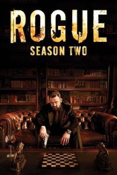 卧底情劫第二季