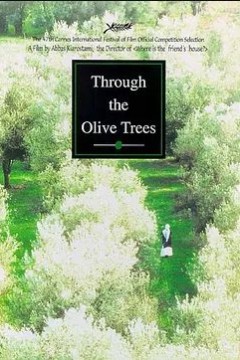 橄榄树下的情人1994