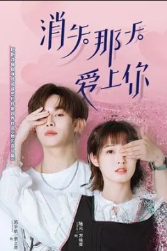 消失那天爱上你2022