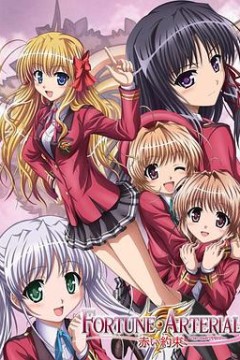 命运动脉赤之约定