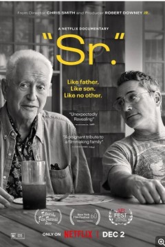 罗伯特·唐尼：自成一格2022