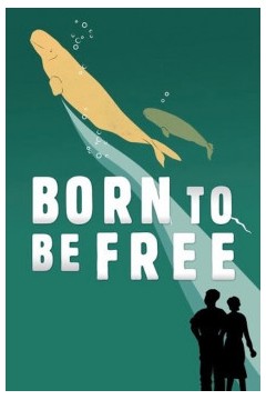 天生是自由的
