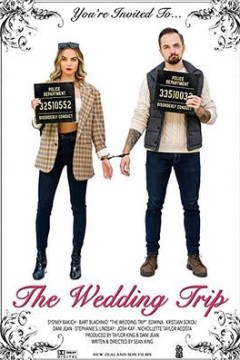 去往婚礼的途中