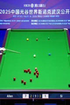 2025斯诺克武汉公开赛四分之一决赛马克·艾伦5-4斯佳辉20250828