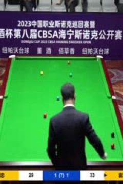 斯诺克蔡剑忠1-4袁思俊20230519