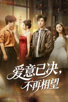 爱意已决不再相望