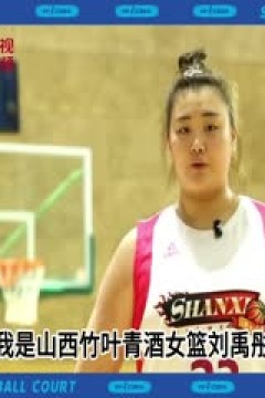 WCBA常规赛第16轮 东莞新彤盛VS山西竹叶青酒 20231128(字诚)