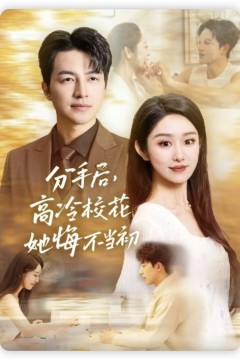 分手后，高冷校花她悔不当初