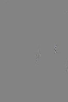 中乙联赛 广西蓝航VS湖南湘涛 20240720