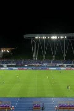 足协杯 佛山南狮VS上海申花 20240621