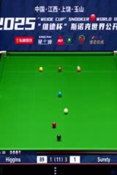 斯诺克玉山世界公开赛半决赛扎克·舒尔第5-6约翰·希金斯20250228