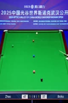 2025斯诺克武汉公开赛延期资格赛及64进32赵心童5-3尤里安·博伊科(秦正)20250824